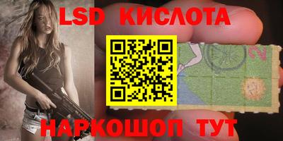 стаф Дубна