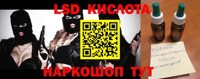 стаф Дубна