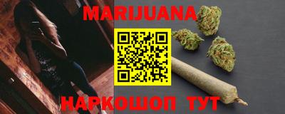стаф Дубна